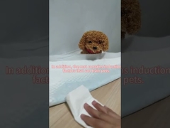Pet Trainging Polymer Urinal Pad Super Absorbent Sanitary