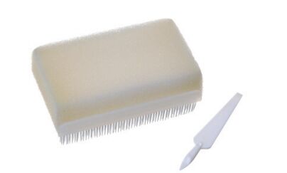 kaufen Handspülbürste für den medizinischen Gebrauch Ergonomisch gestaltete, langlebige, antibakterielle Bürsten für Gesundheitsumgebungen on-line-Fertigung