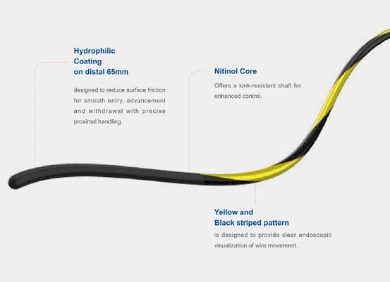 kaufen Zebra Nitinol Core Guidewire Präzision, Flexibilität und Langlebigkeit für fortgeschrittene Interventionsverfahren on-line-Fertigung