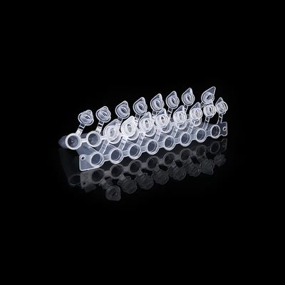 Guter Preis Kuppelförmiger Kappen 0.2ml Streifen PCR-Rohr-8 mit befestigtem verbundenem Rohr Kappe PCR acht Online