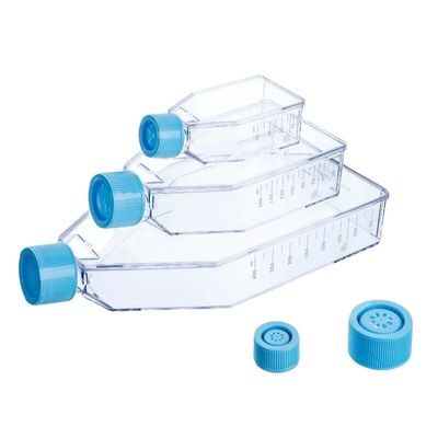 Guter Preis Sterile Plastikzellkultur-Flasche mit gelüfteter Deckzelle-Kultur-Flasche T25 T75 T175 Online