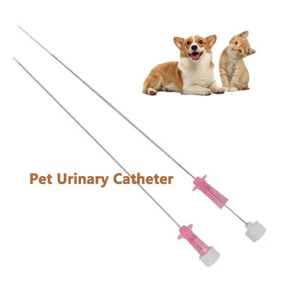 Guter Preis Katheter für den Urin der Katze mit Stylet ️ Die beste Lösung für die Urinpflege von Katzen! Online