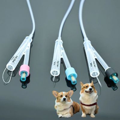 Guter Preis Veterinär-Hunde-Urinkatheter ️ Hochwertiges PVC/Siliconmaterial, langlebige Lösungen für die Pflege von Haustieren Online