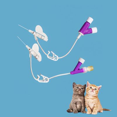 Guter Preis IV-Katheter für Katzen und Hunde Y-Typ Bessere Fixierung Online