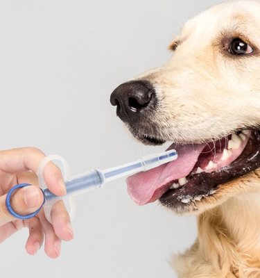 Guter Preis Fütterungsschlauch Haustier Hund Katze Pillenpistole Medizin Spritze Fütterungsset Langlebiger Kunststoff Online