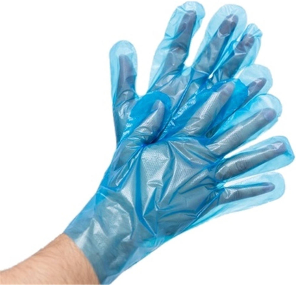 Guter Preis Küche Zuhause Catering Krebs Grill Barbecue PE Folien Handschuhe Verdickte Einweg-Plastikhandschuhe Langlebig Wasserdicht Online