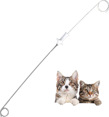 Guter Preis Resorbierbarer medizinischer Naht-Tier-Harnleiter-Stent-Katheter, mit Führungsdraht-Nahtplatte, geeignet für Hunde und Katzen, 3Fr 4Fr, Nieren, Veterinärmedizin, PU-Material Online