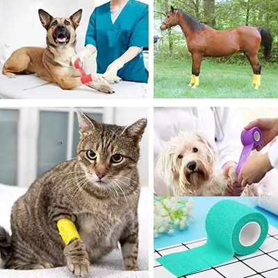 Guter Preis Medizinische Qualität Elastische Vet Wrap Kohäsive Bandage Nichtsterile Klasse I Gerät Selbstklebende Flexible Wrap für Hunde Katze Wundpflege & Gelenksupport Online